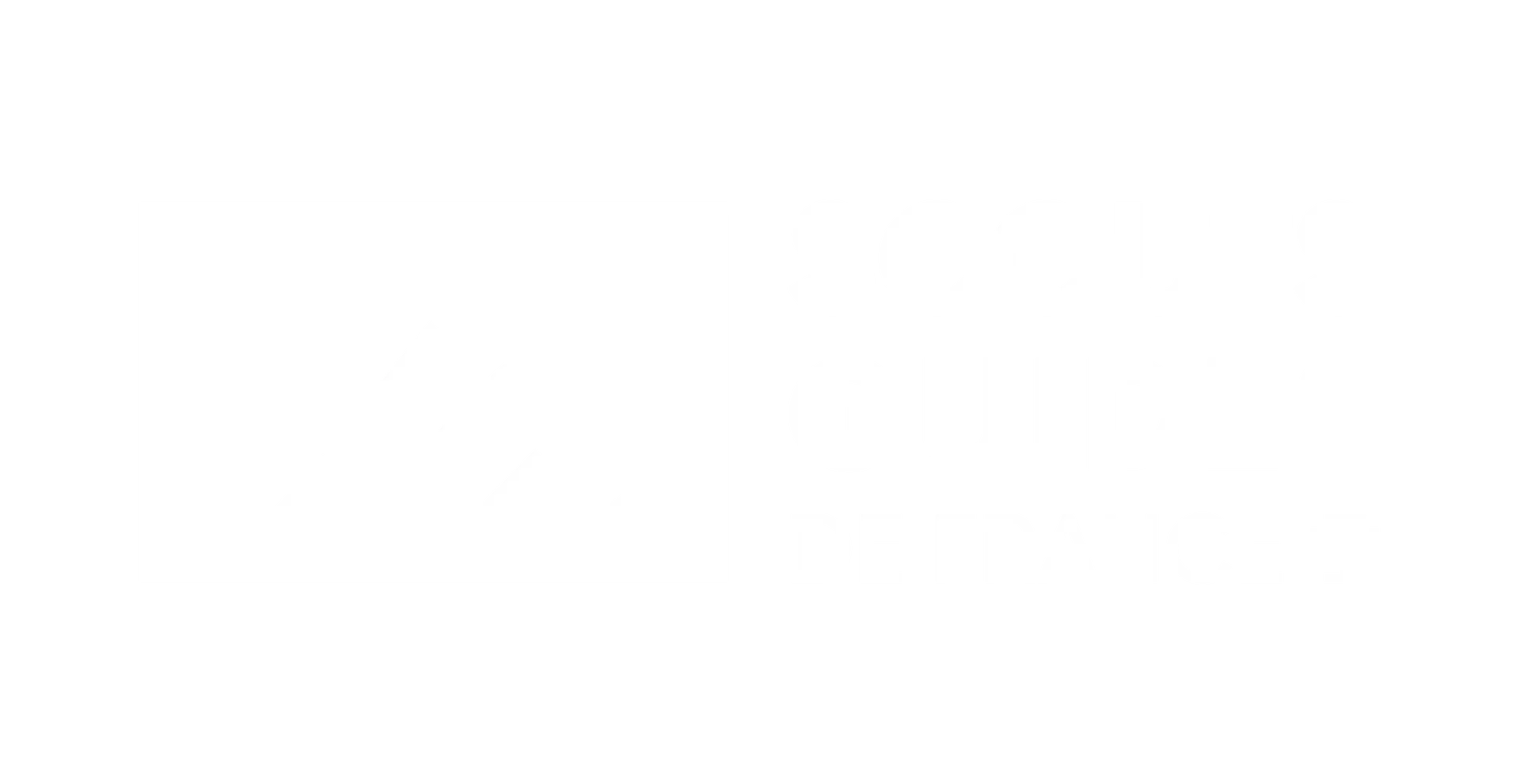 Scouts et Guides de France